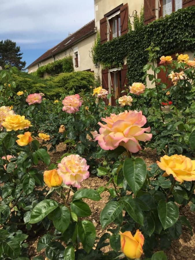 Bed and Breakfast Entre Canal Et Vignes Escolives-Sainte-Camille Екстер'єр фото